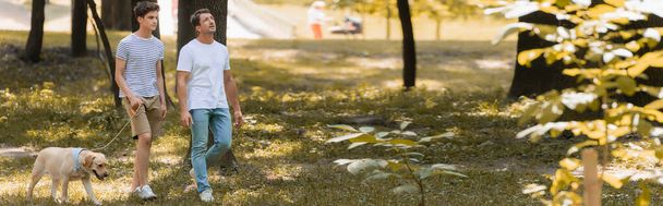 horizontales Bild eines Mannes, der in der Nähe von Teenager-Sohn aufblickt, der mit Golden Retriever im Park spaziert  - Foto, Bild