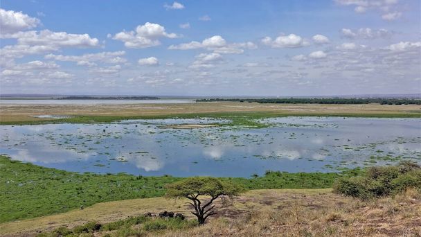 Блакитне озеро під блакитним небом. Хмари відбиваються у воді. Африканська савана. Кенія. Парк Амбоселі. - Фото, зображення