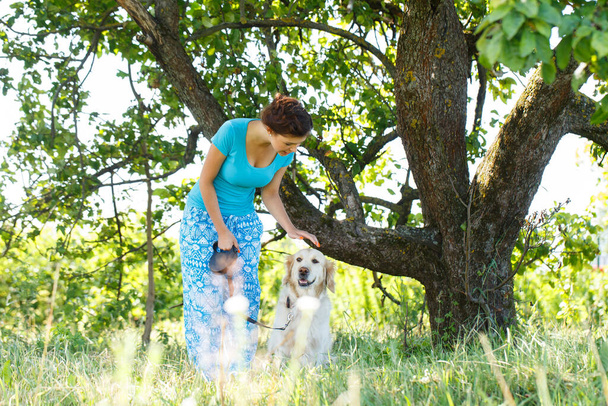 Jolie fille en robe bleue avec chien adorable - Photo, image