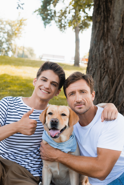 teenager boy showing thumb up while hugging father near golden retriever - 写真・画像