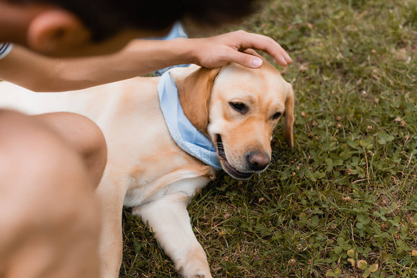 cropped view of teenager boy cuddling golden retriever on grass - Photo, Image