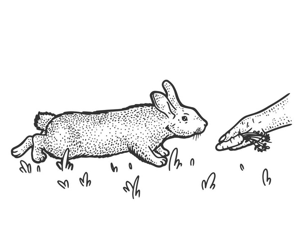 Der Mensch füttert Kaninchen mit Karotte. Skizze Scratch Board Imitation. - Foto, Bild