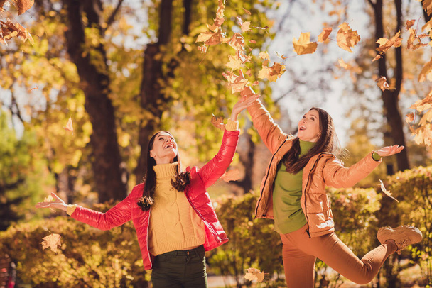 Photo of two positive cheerful girls fellows enjoy throw catch air fly maple leaves look up sky wear red yellow coats in fall city park - Фото, изображение