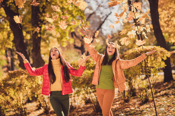 Photo of two cheerful girls fellows enjoy throw catch air fly maple leaves wear red yellow season outfit in autumn sunset park lawn - Foto, Imagen