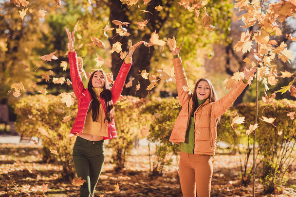 Photo of two positive cheerful girls enjoy fall park forest rest sunset throw catch air fly maple leaves wear red yellow outerwear on blissful lawn - Foto, immagini