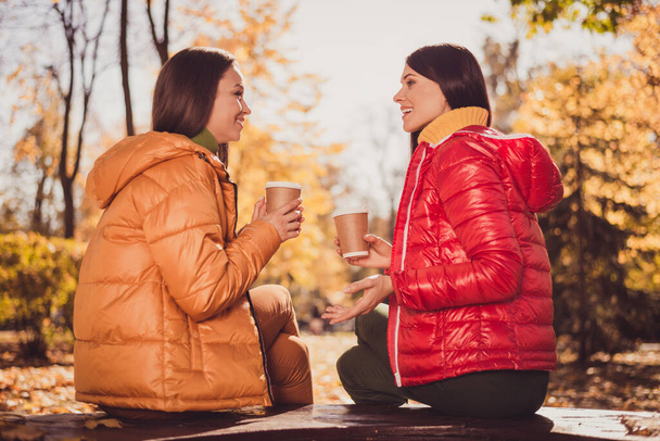 Profile side photo of two people girls fellows finally weekend met park hold drink barista caffeine beverage takeout mug tell say news sit bench in fall sunset town park - Photo, image