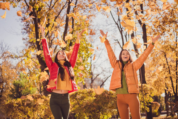 Photo of two positive cheerful two people girls enjoy autumn bliss town center park weekend throw catch maple leaves wear season outerwear - Photo, Image