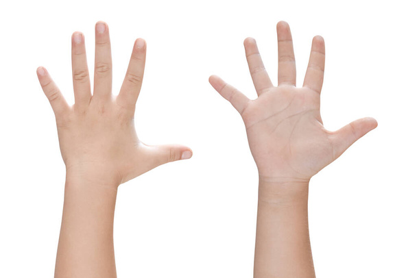 Lapsi käsi näyttää viisi sormea eristetty valkoisella taustalla leikkausreitillä. - Valokuva, kuva