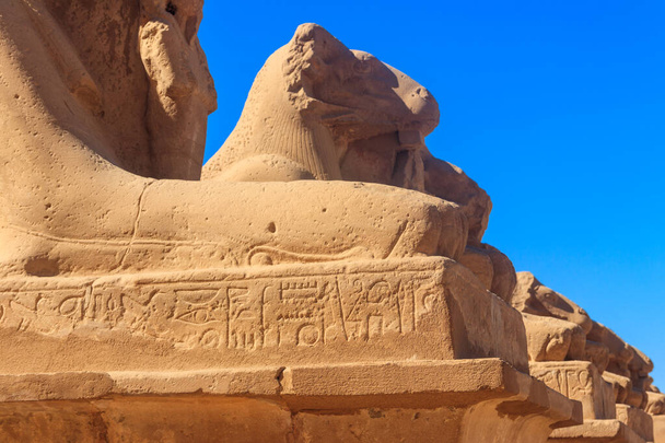 Allée des sphinx au complexe du temple Karnak à Louxor, Égypte - Photo, image