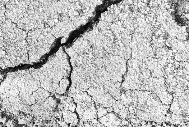 Superficie blanca agrietada de fondo de textura de suelo gris, tierra gris secada y picada, suelo oscuro de vieja fisura, primer plano, erosión - Foto, Imagen