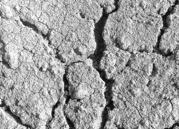 Superficie bianca screpolata di sfondo texture del suolo grigio, terra grigia essiccata e tritata leggera, vecchia fessura terra scura, primo piano, erosione - Foto, immagini