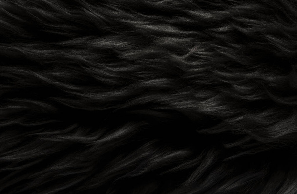 Μαύρο ζωικό μαλλί υφή, μπεζ χνουδωτό γούνα φόντο, σκούρα φυσικά μαλλιά, κοντινό πλάνο - Φωτογραφία, εικόνα