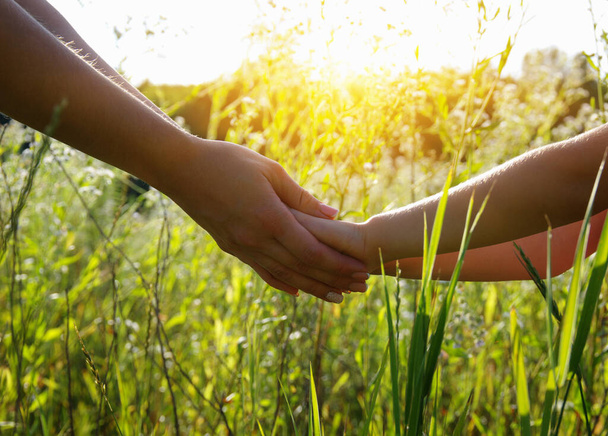 Handen van het houden van elkaar in het veld op de weg en de zon - Foto, afbeelding