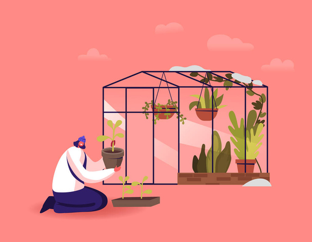 Girl Working in Greenhouse. Young Woman Planting Plants from Pots to Soil in Winter House. Botanist Planting Flowers - Vector, Image