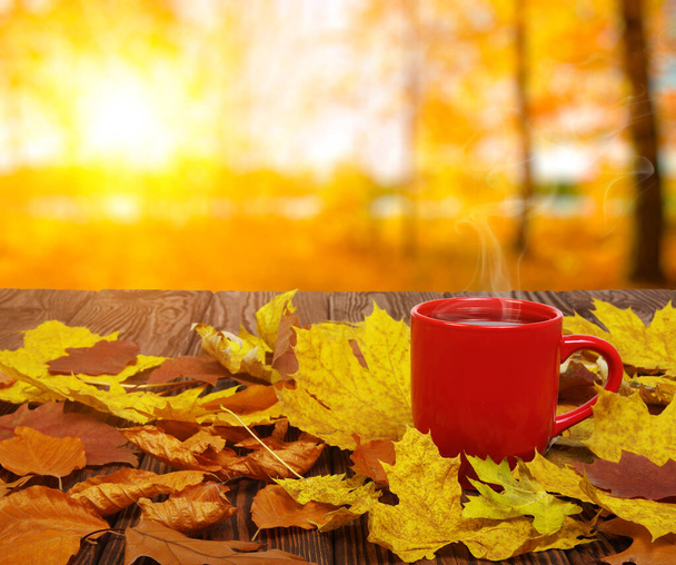 Hojas de otoño y taza de café caliente y humeante. Mesa de madera sobre fondo de luz solar. Concepto de otoño. - Foto, Imagen
