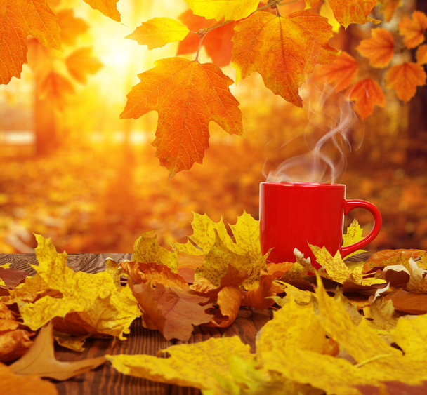 Podzimní listy a červený šálek kávy na slunci rozmazané stromy. Podzimní pozadí. - Fotografie, Obrázek