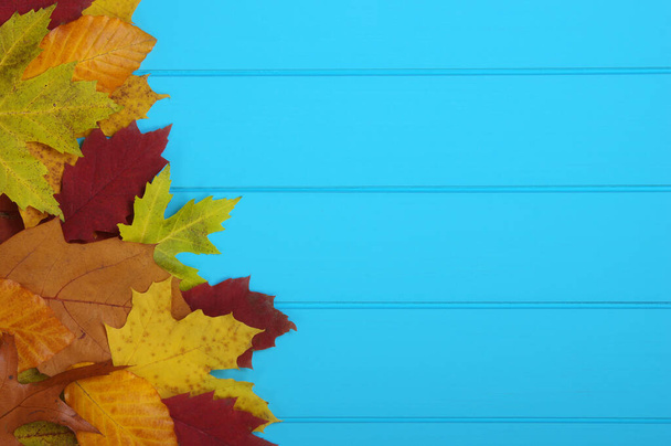  foglie autunnali su sfondo blu legno - Foto, immagini