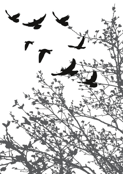 Vektori, lentävien lintujen siluetti ja puiden oksat - Vektori, kuva