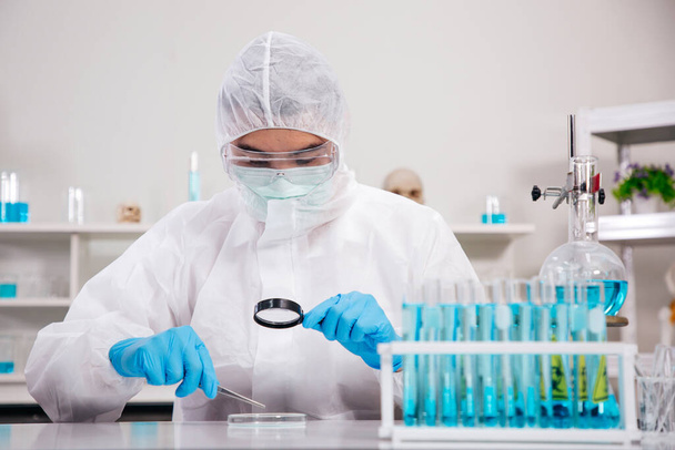 PPEスーツの男性科学者は、サンプリングプレートで拡大ガラスチェックサンプルを使用しながら研究室で働いています.ブルー・トーン。SARS-CoV-2, Covid-19テーマ. - 写真・画像