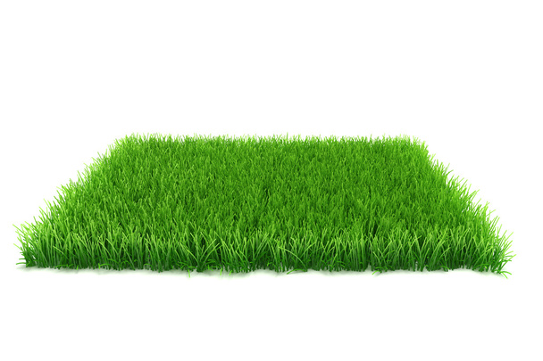 3d fresh grreen grass background - Foto, Bild