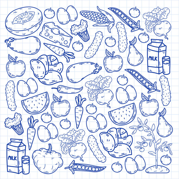 Vector pattern. Healthy eco organic food. Vegetables, fruits, dairy, milk. Linear graphic. - Vetor, Imagem