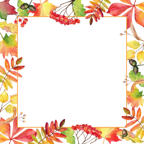 Frame with watercolor autumn  leaves on white background. - Fotoğraf, Görsel