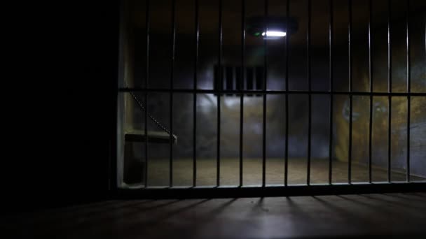 primo piano filmato di miniatura giocattolo prigione gabbia sotto la luce mistica - Filmati, video