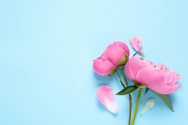 Beautiful peonies on light blue background, flat lay. Space for text - Foto, Imagem