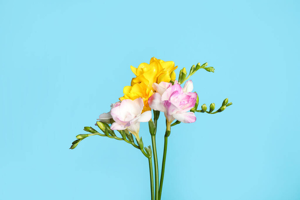 Beautiful blooming freesias on light blue background - Foto, afbeelding
