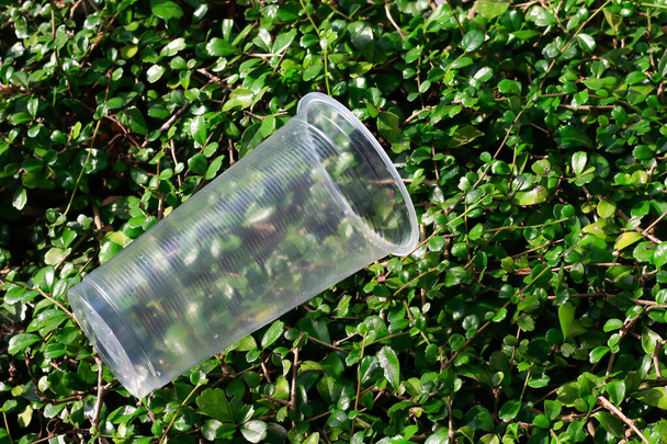 пластикові тумблери відходи на листках зеленого кольору, сміття відходи пиття скляний пластик
 - Фото, зображення