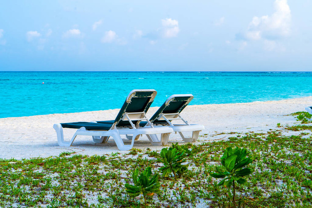 Lounge chairs on a beautiful tropical beach at Maldives - 写真・画像