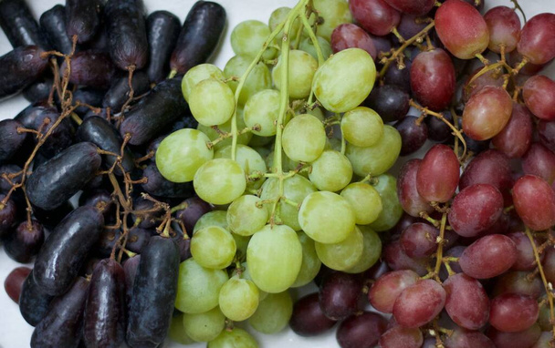 Three bunches of grapes in three colours black red and green - Photo, Image