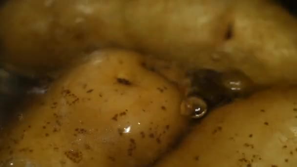 Bulwy ziemniaczane gotowane są w wodzie. Ziemniaki surowe o cienkiej skórze, świeże, nieobrane - Materiał filmowy, wideo