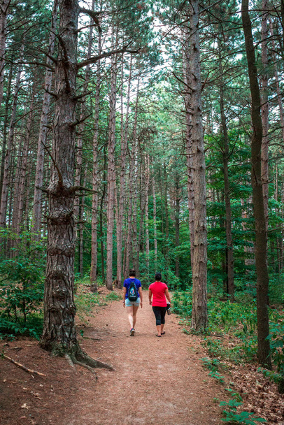People hiking along Provin trail in Grand Rapids Michigan - Photo, Image