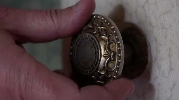A man's hand touches a round metal doorknob. A man opens a wooden door painted - Footage, Video
