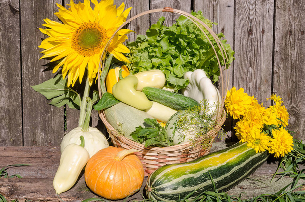 Harvest seasonal vegetables in a wicker basket-squash, pumpkin. - Fotografie, Obrázek