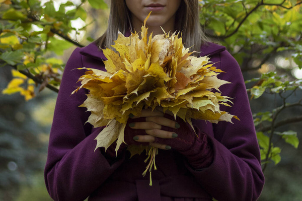 Lady in park tiene ramillete de hojas de otoño. De cerca.. - Foto, imagen