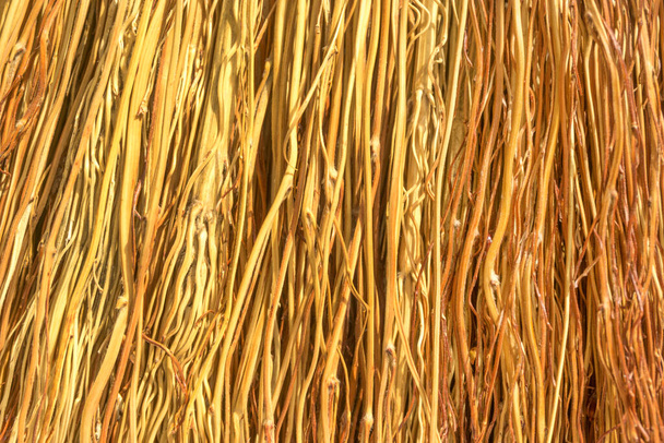 Paquete de delgadas ramas marchitas fondo, racimo de ramas amarillas textura, cerca rayas de escoba, brocha amarilla, arbusto seco viejo - Foto, Imagen