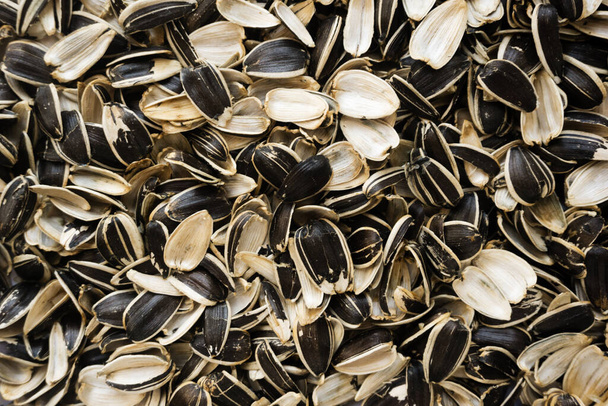 Łuski nasion słonecznika tekstury tła. odpady nasion - Zdjęcie, obraz