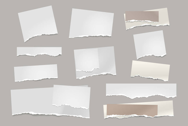 Zerrissene weiße Notizzettel, Notizbuchstreifen und Stücke, die auf grauem Hintergrund kleben. Vektorillustration - Vektor, Bild