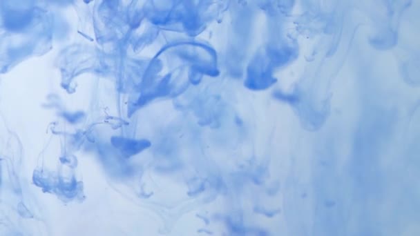 Blauwe inkt abstracte vloeiende vloeistofstroom beweging - Video