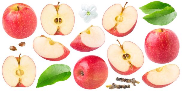 Eristetyt punaiset omenat. Kokoelma koko ja leikattu punainen omenat erimuotoisia, lehtiä ja omenankukka eristetty valkoisella pohjalla - Valokuva, kuva