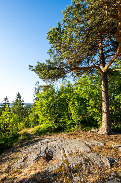 Kuhavuori mount in Sortavala, a town in the Republic of Karelia, Russia, located at the northern tip of Lake Ladoga near the Finnish border - Foto, immagini