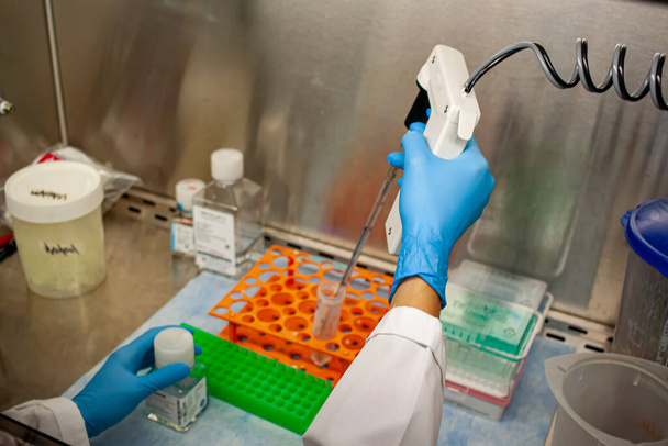 Nahaufnahme, aufgenommen durch die Glasscheibe einer sterilen Biosicherheitshaube. Eine Forscherin misst mit einer Pipette eine Probe im Schrank unter sterilen Bedingungen.  - Foto, Bild
