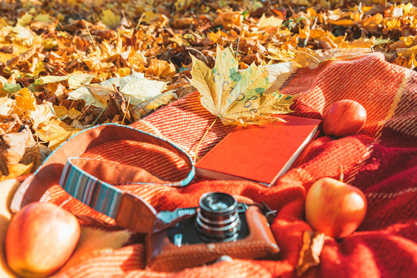 Decke mit Buch und alter Retro-Kamera auf dem Boden im Herbst öffentlichen Park. Kopierraum - Foto, Bild