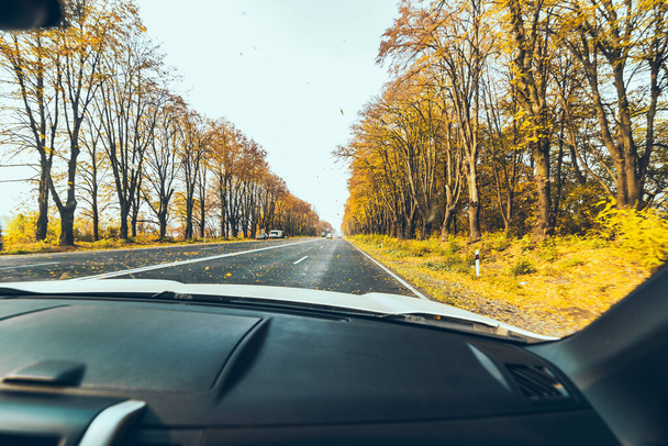 Outono carro viagens conceito árvores com folhas amarelas estrada reta - Foto, Imagem