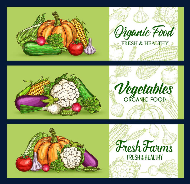 Farmářská zelenina, zelenina skica banner, vektorová deska sklizeň potravin na trhu. Zelenina a vegetariánská zelenina, květák a brokolice zelí, česnek, lilek a rajčata, pepř a kukuřice - Vektor, obrázek