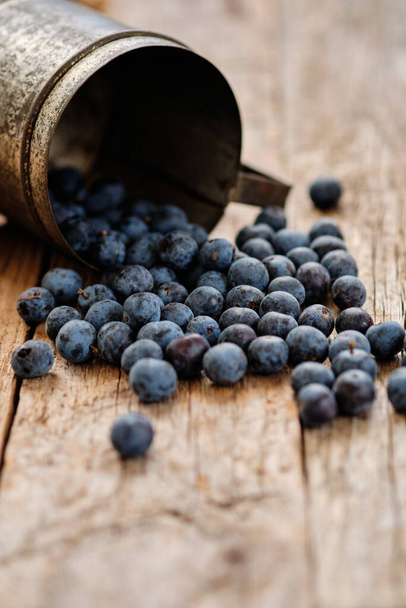 Spilled blueberries from a metal mug on rustic table - Photo, Image