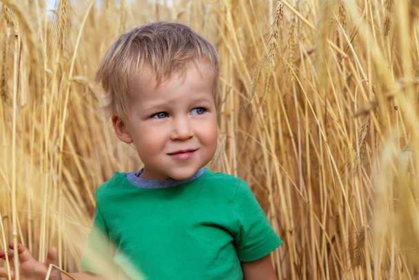 Ehrliches Porträt von niedlichen liebenswerten kaukasischen blonden kleinen Jungen genießen zu Fuß in reifen goldenen Weizenfeld freut sich auf strahlend sonnigen Tag. Unbekümmerte glückliche Kindheit auf dem Bauernhof. - Foto, Bild