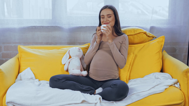 Έγκυος γυναίκα πίνοντας τσάι κοντά σε μαλακό παιχνίδι στον καναπέ   - Πλάνα, βίντεο